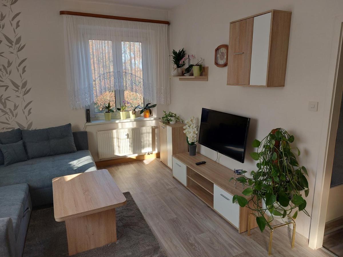 Ferienwohnung Lehmann Pirna Exteriér fotografie